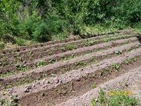 /album/proceso/a100-1749-copiar-jpg/